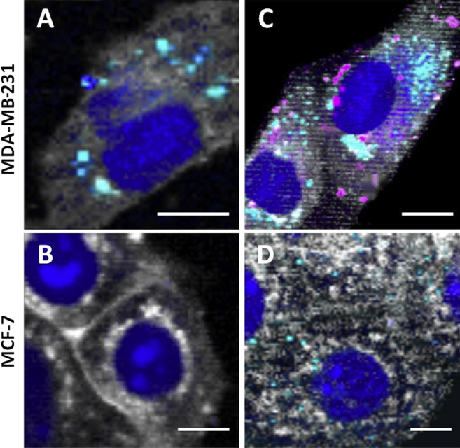 Figure 4