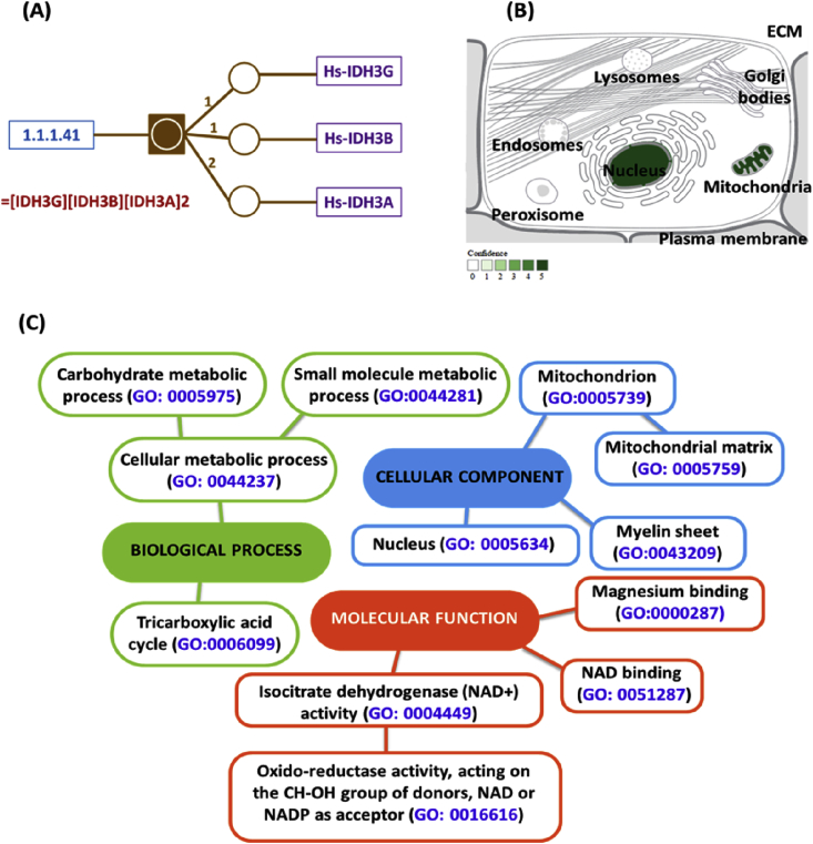 Fig. 2