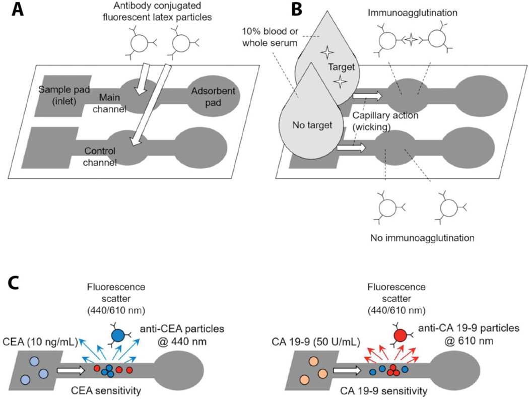 Figure 11.