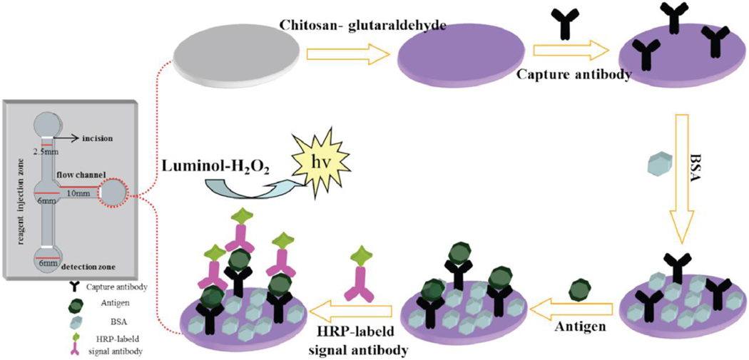 Figure 12.