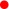 graphic file with name jcbn17-81f1_cap5.jpg