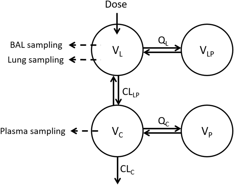 Figure 2