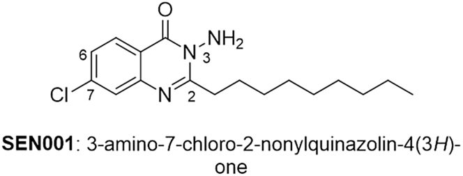 Figure 1