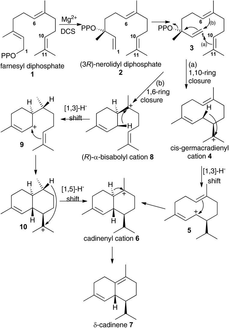 Scheme 1