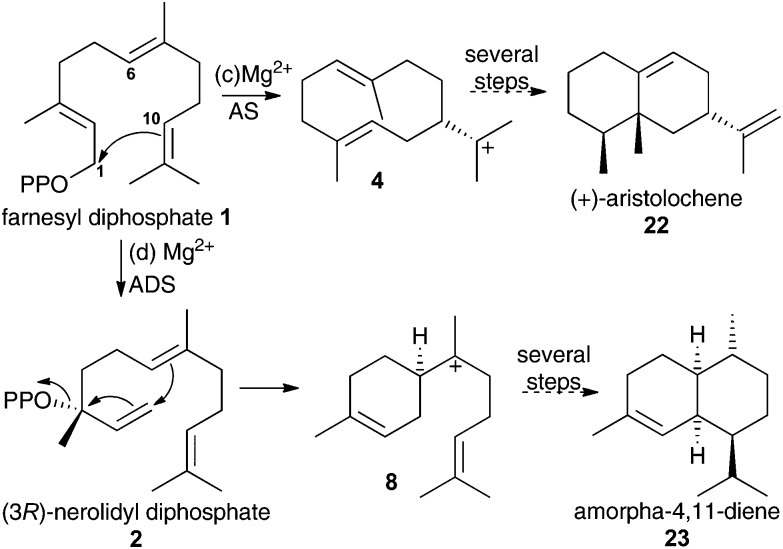 Scheme 3