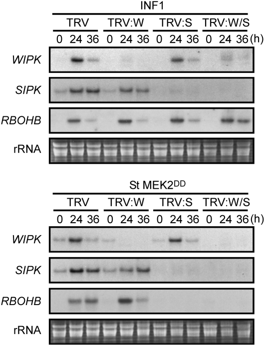 Figure 4.