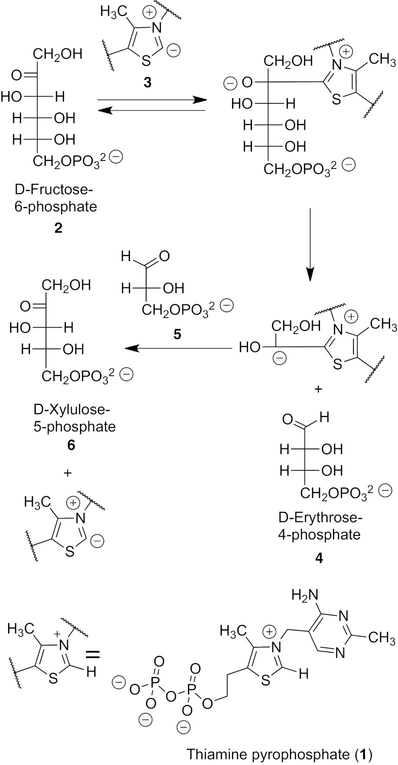 Fig. 1.