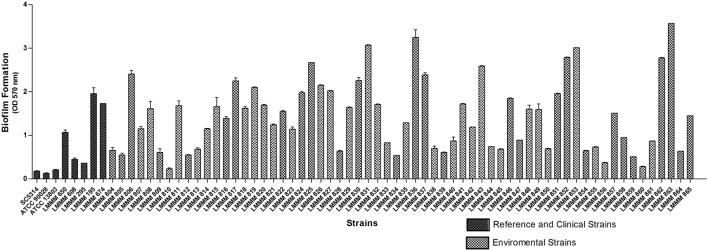 FIGURE 2