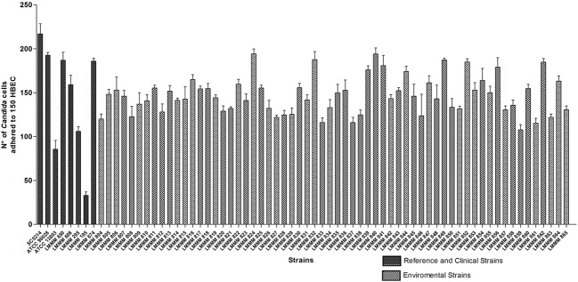 FIGURE 1