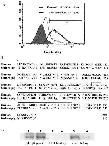 FIG. 3.