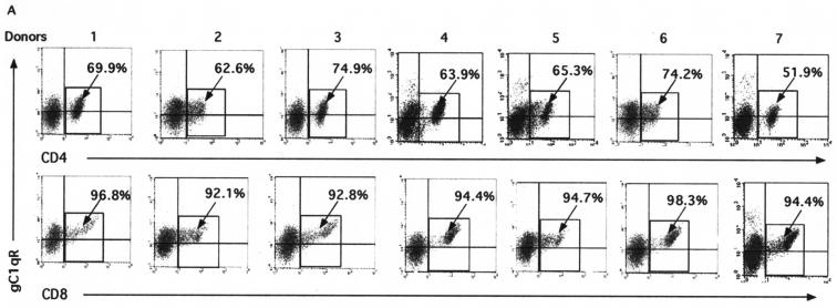 FIG. 5.