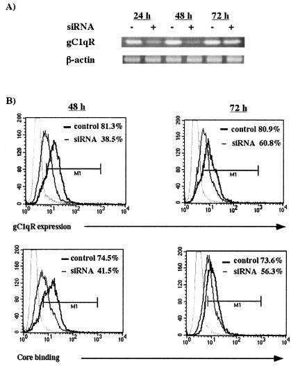 FIG. 2.