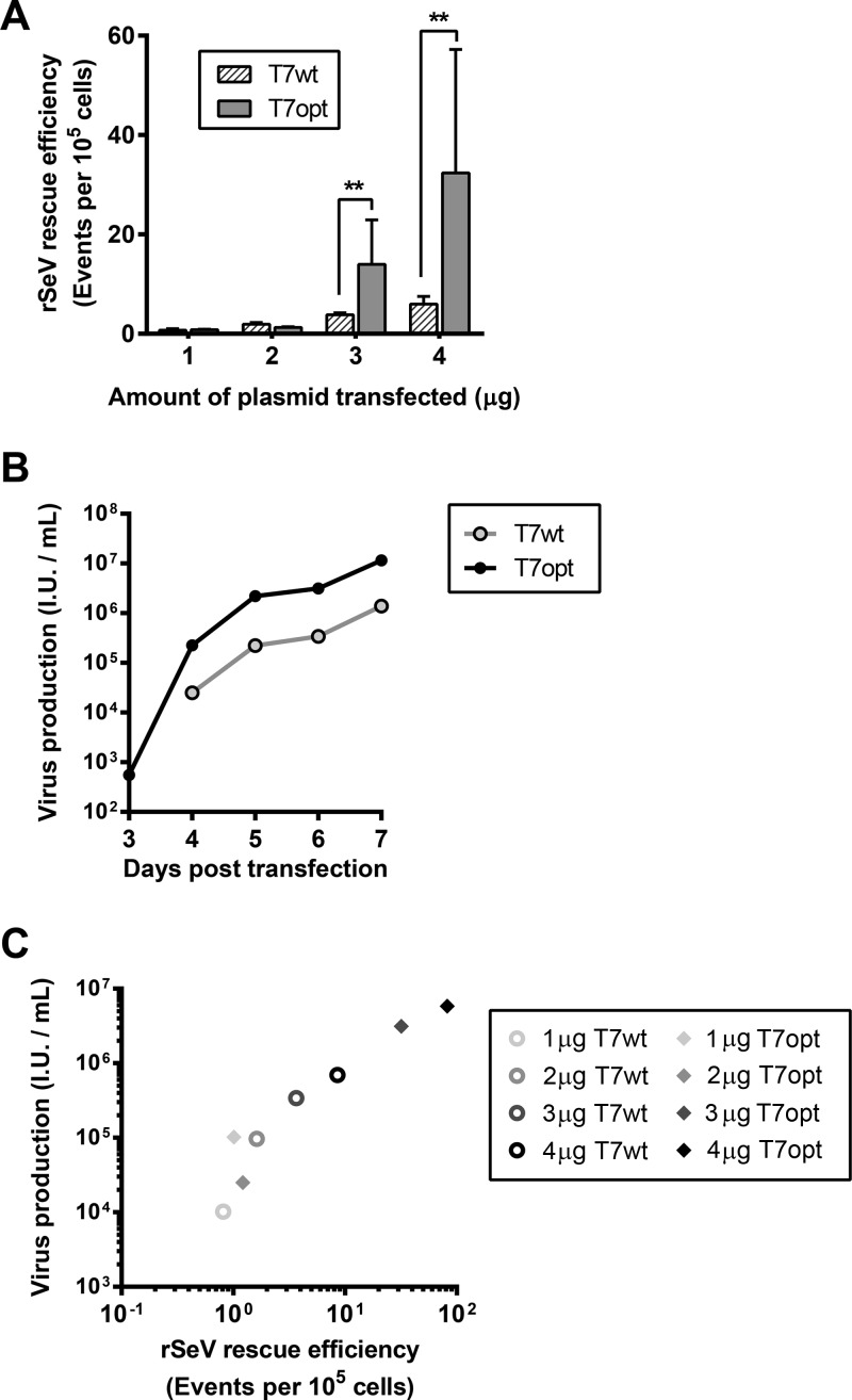 FIG 3 