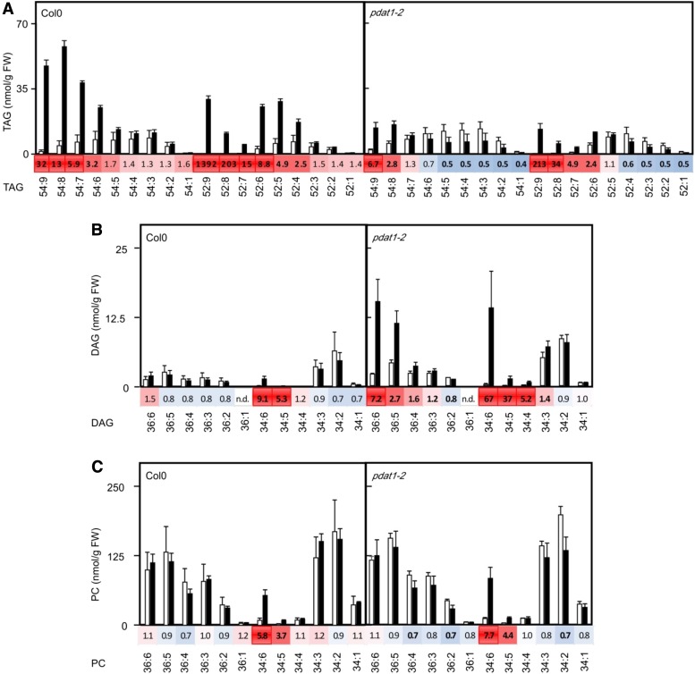 Figure 3.