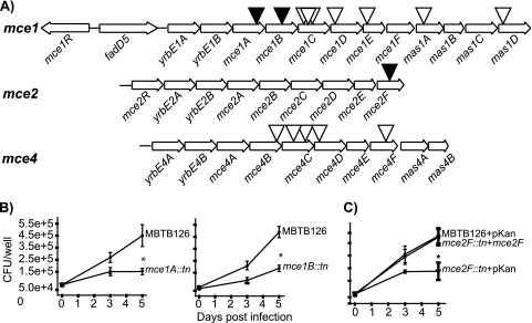 FIG. 2.