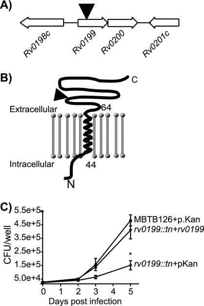 FIG. 3.