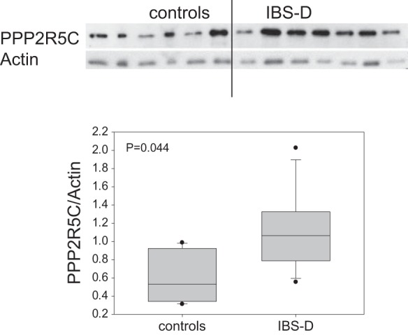 Fig. 3.