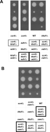 Fig 1