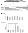 Fig 12