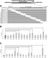 Fig 11