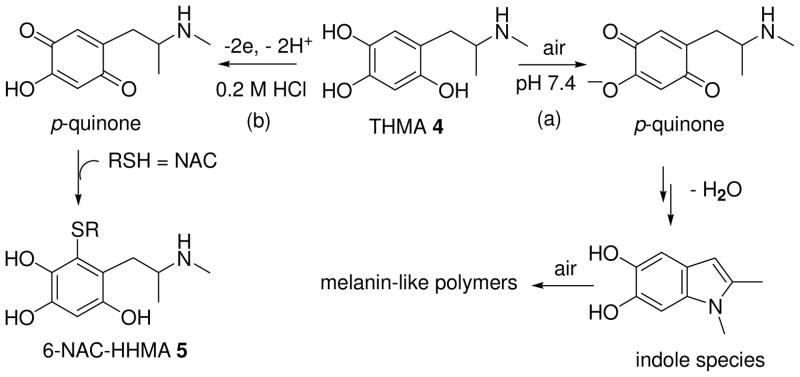 Scheme 3