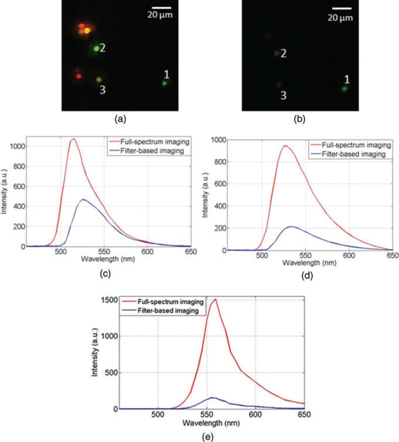 Fig. 10