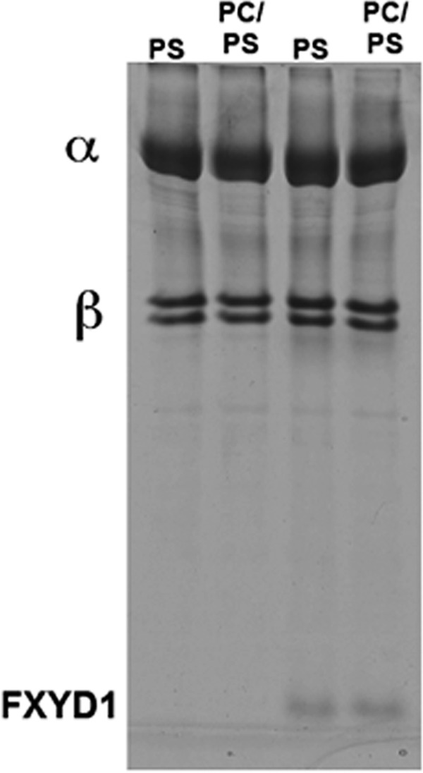 FIGURE 1.