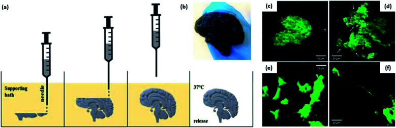 Fig. 16
