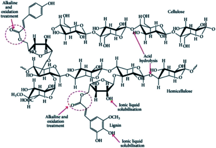 Fig. 12