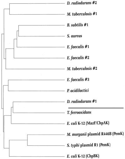 FIG. 5