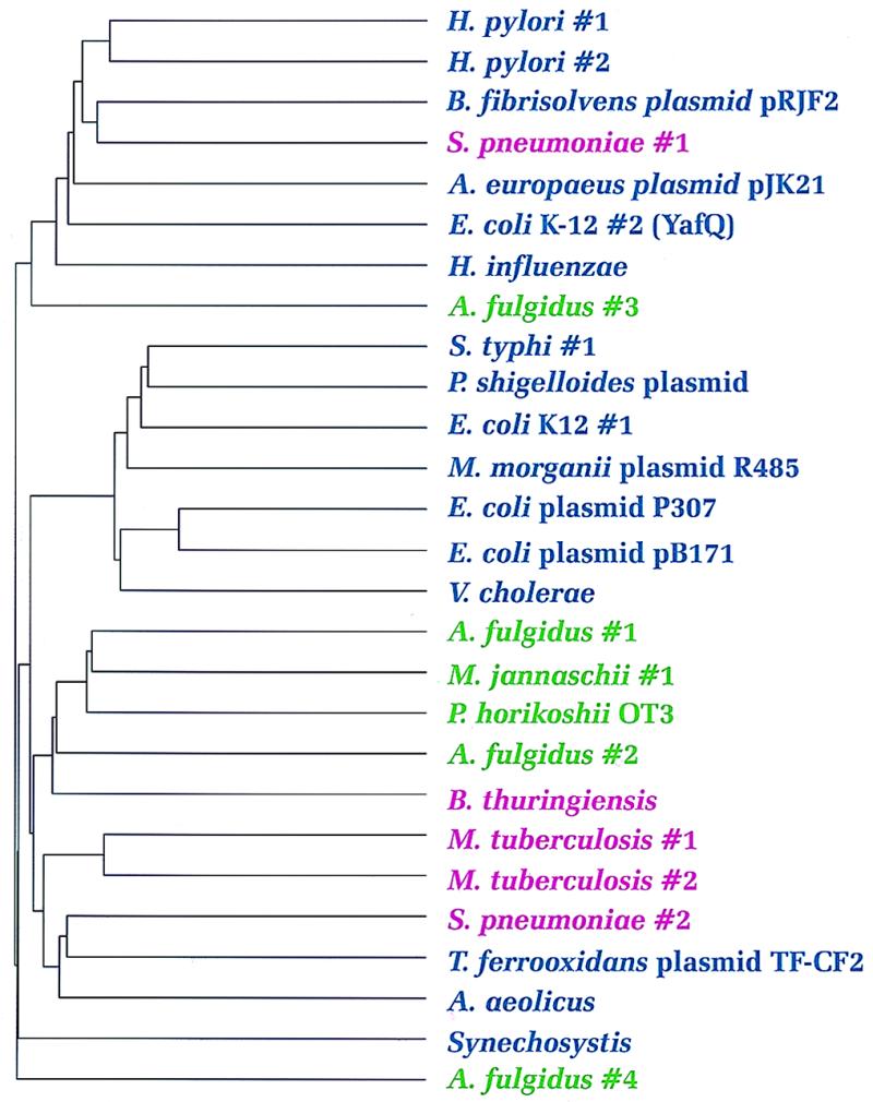 FIG. 3