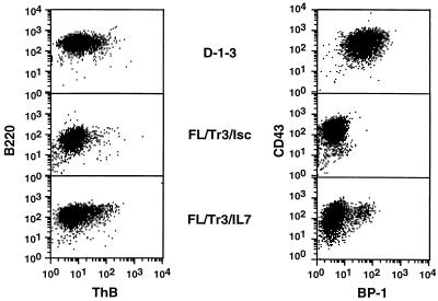 FIG. 6