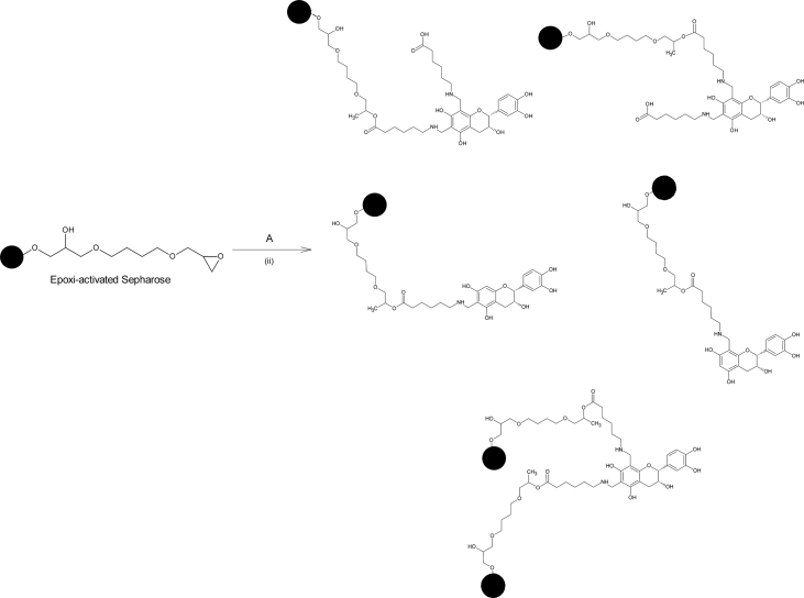 Figure 5