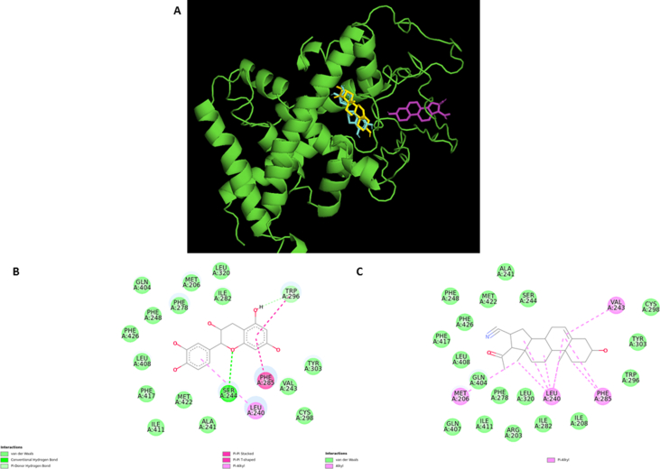 Figure 2