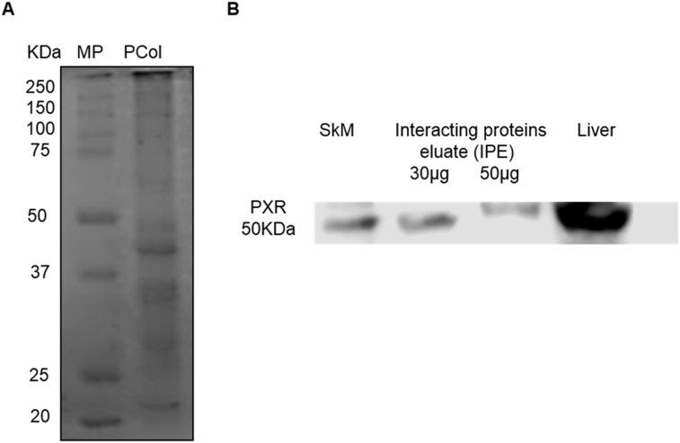 Figure 6