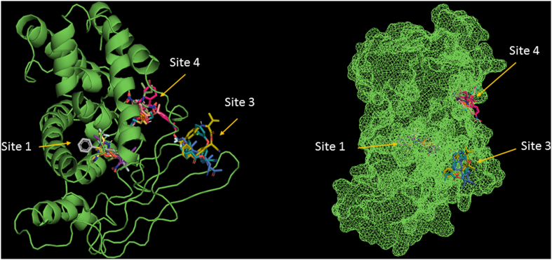 Figure 1