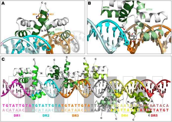 FIG 7