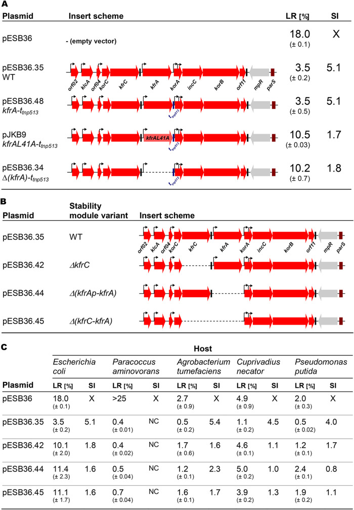 FIG 6