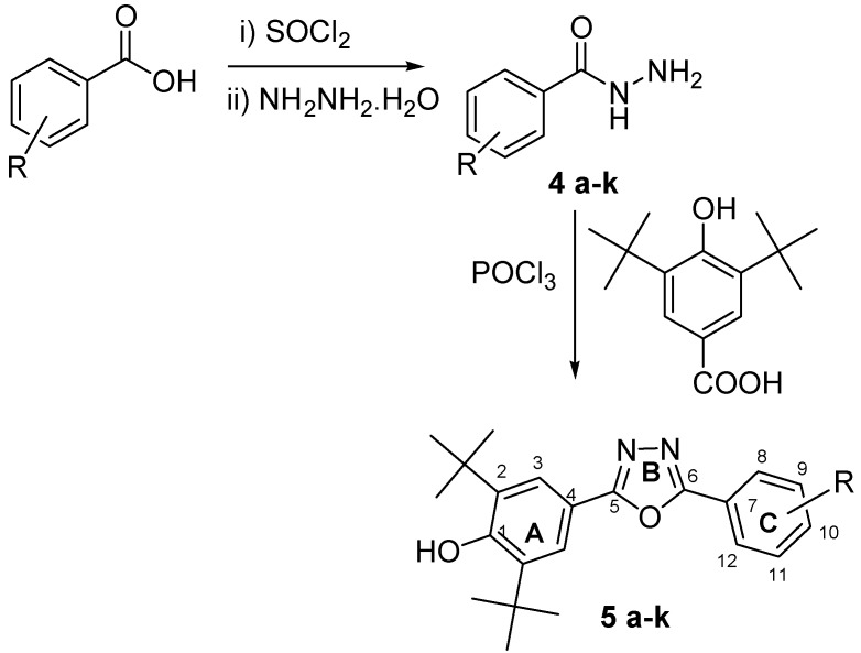 Scheme 1