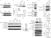 Fig. 7 ∣