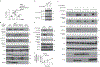 Fig. 4 ∣