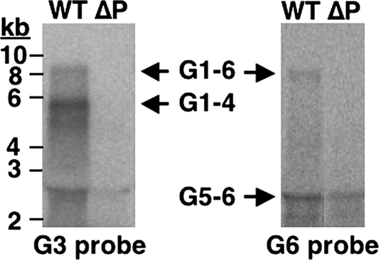 FIG. 8.