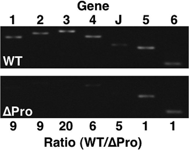 FIG. 7.