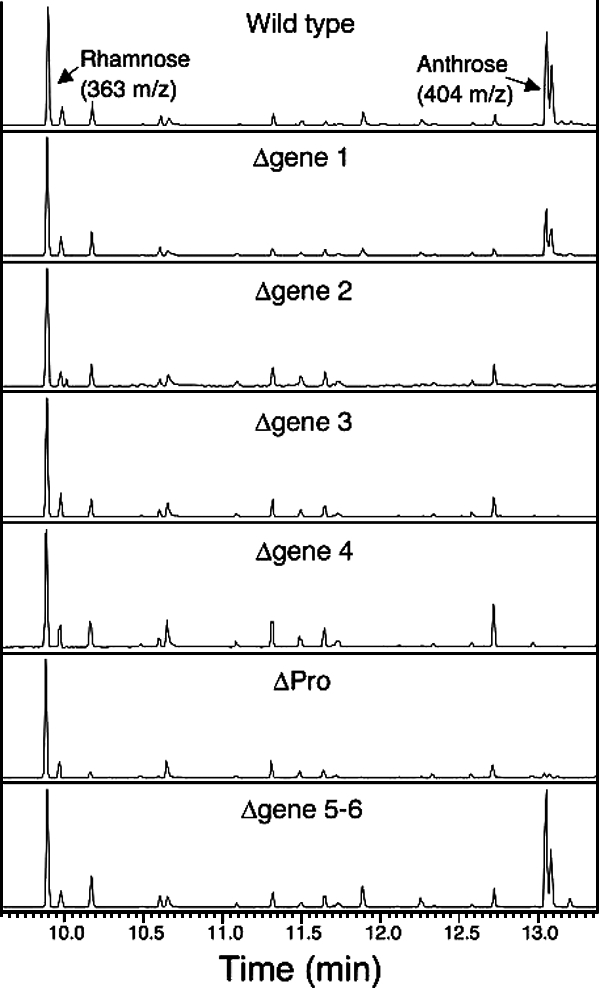 FIG. 5.