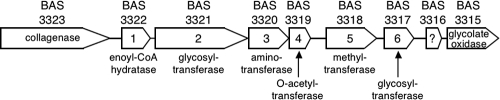 FIG. 2.