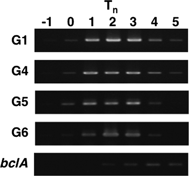 FIG. 6.