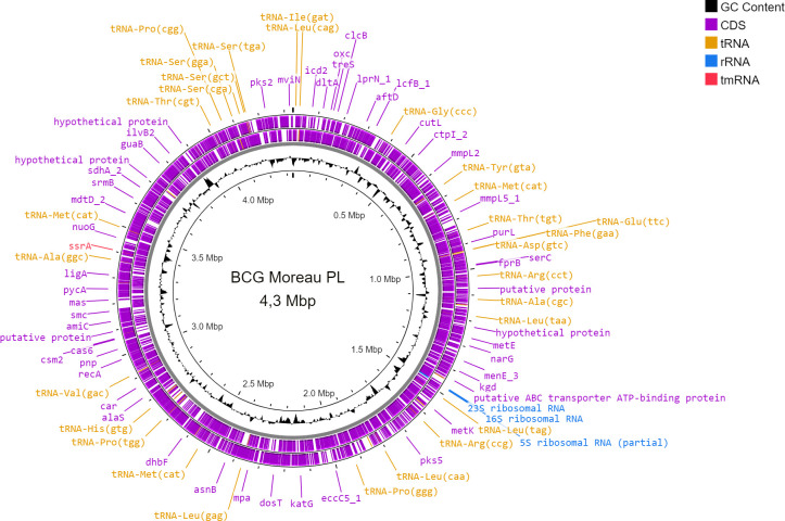 FIG 1