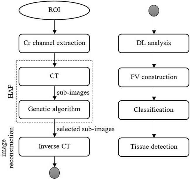 Fig. 1