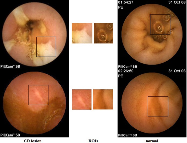 Fig. 2