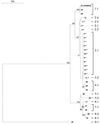 FIG. 1